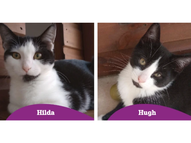 Hugh and Hilda