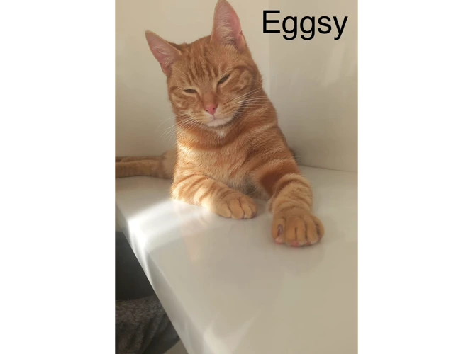 Eggsy