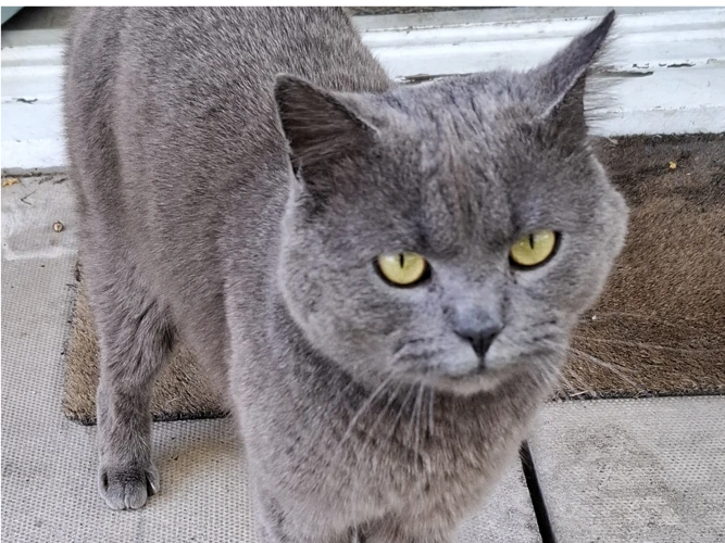 Logan