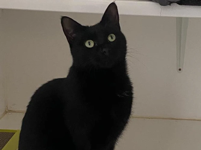 3-year-old Max and Lillie