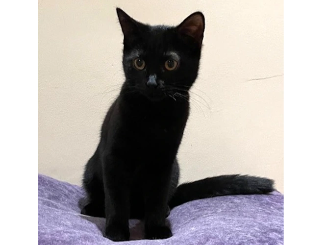 Caitlin  (see also Cilla & Colin)