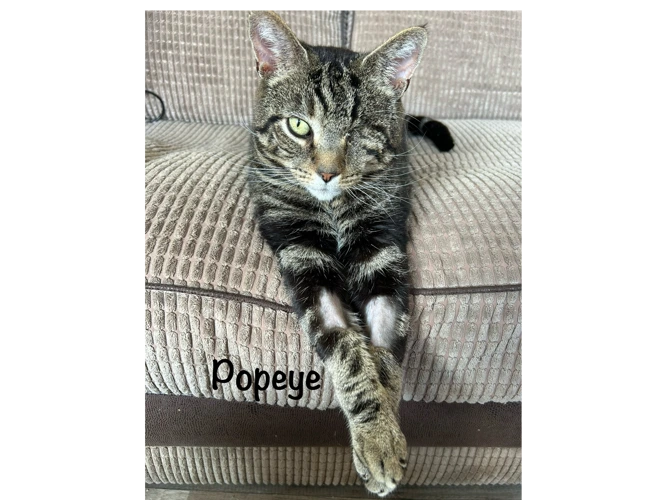 POPEYE