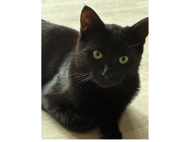 SALEM
