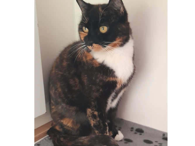 Milly