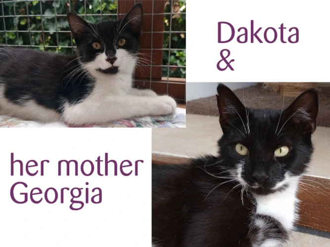 Georgia and Dakota