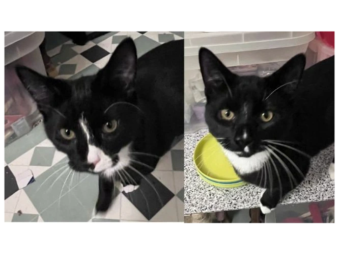 Billy & Benny (PAIR)