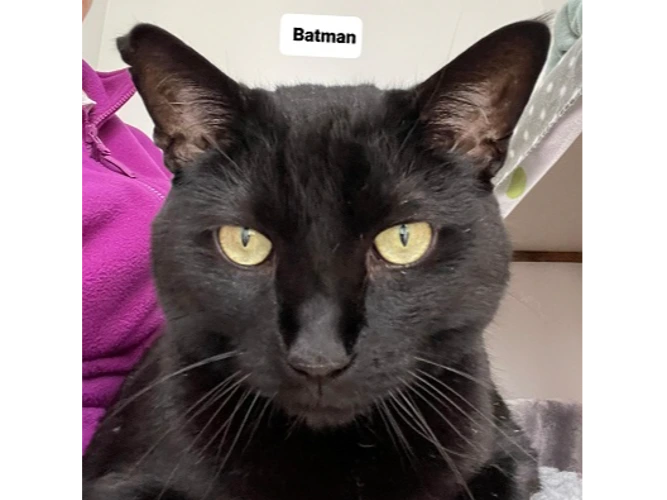 Batman