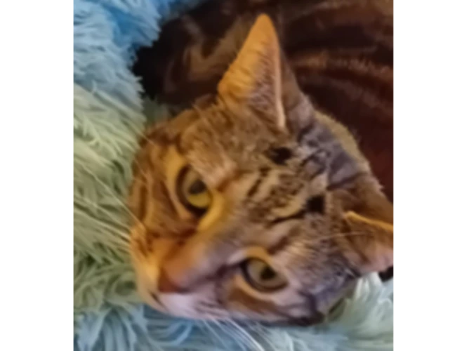 Mildred