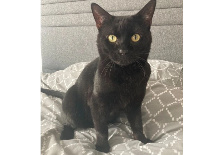 Fergus