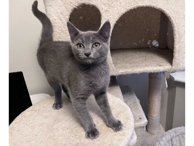 Euan (see also Ellie and Erin)