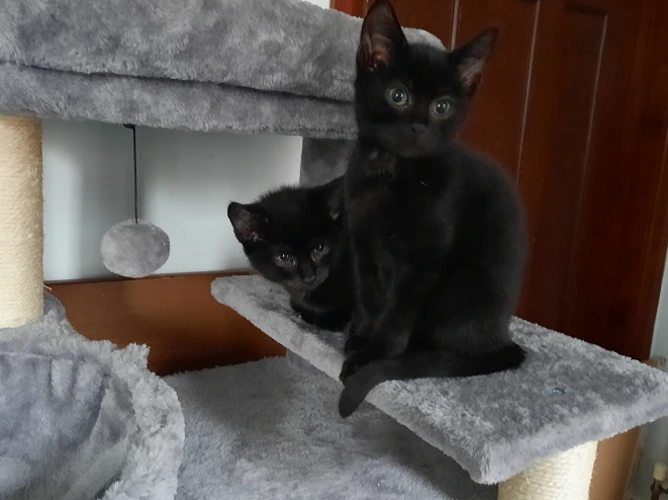 Annie & Bobby