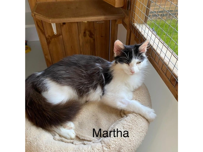 Martha