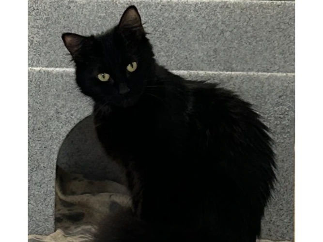 2-year-old Jenny