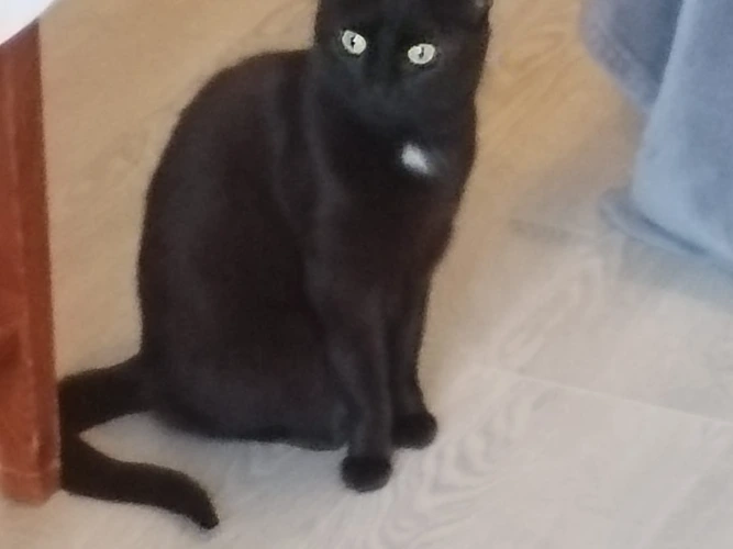 Lucy