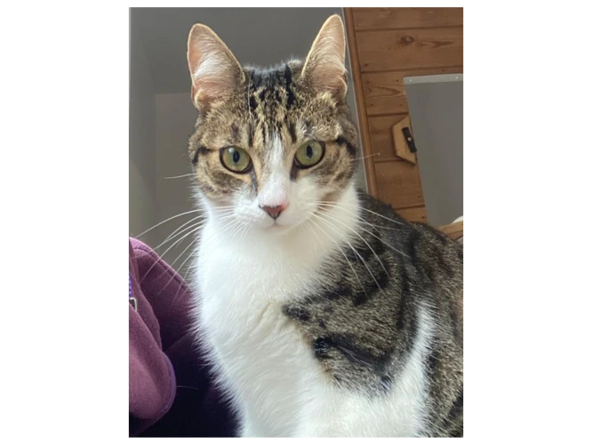 Oakie