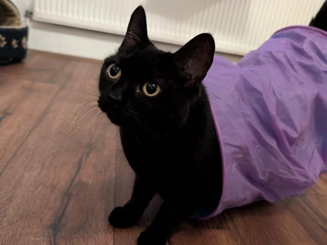 7-year-old Tilly