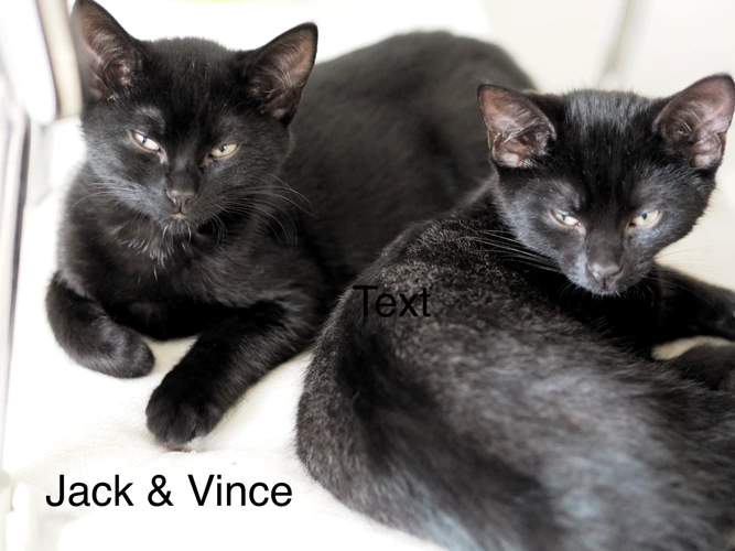 Jack & Vince