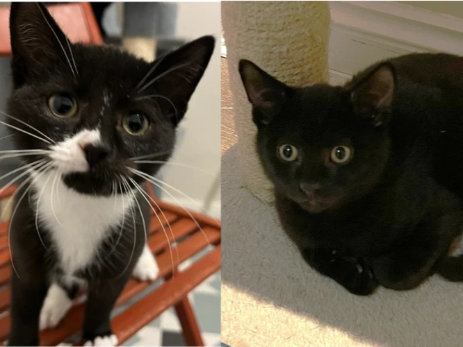 Mandy & Michael (PAIR)