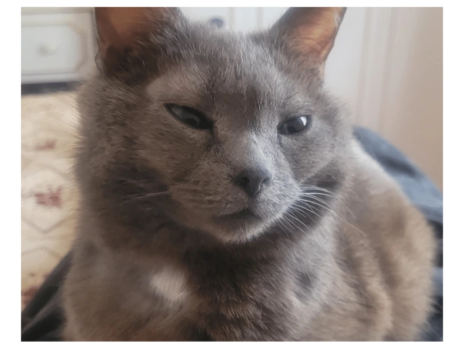 Suzie