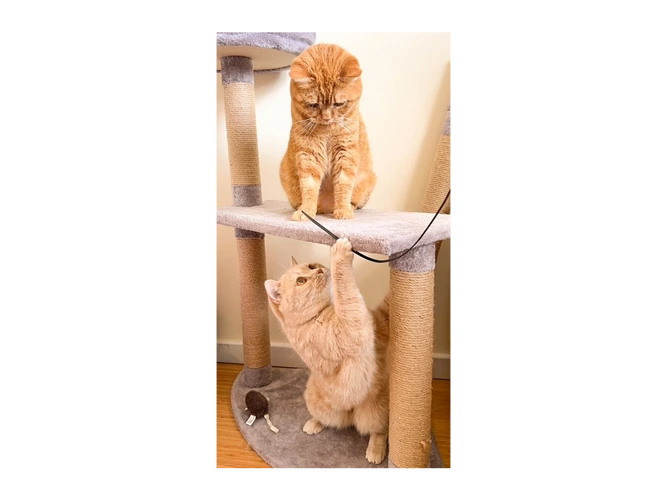 Luna and Nyla