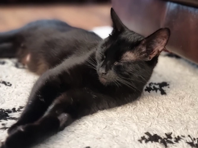 2-year-old Cassie
