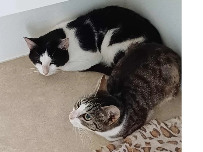 Lilly & Gary