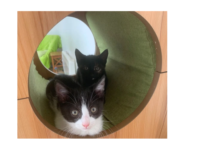 Tilly and Betsy