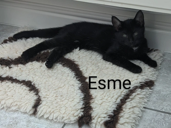 Esme