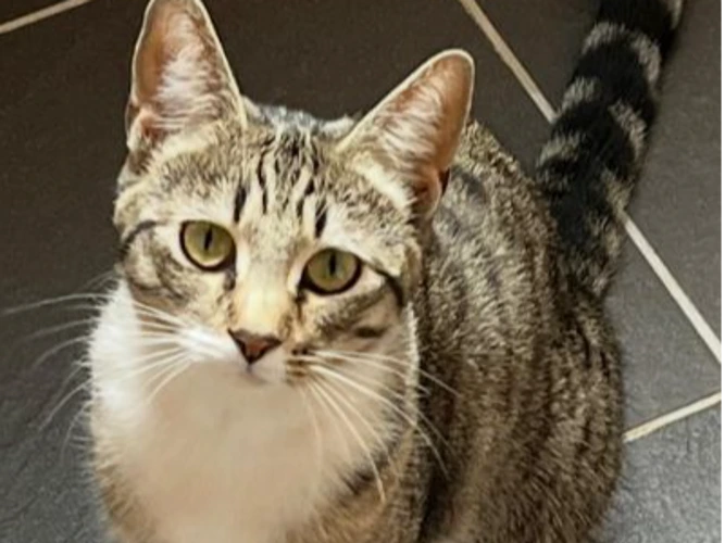 NALA