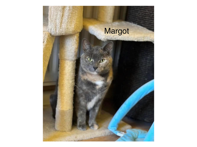 Margot