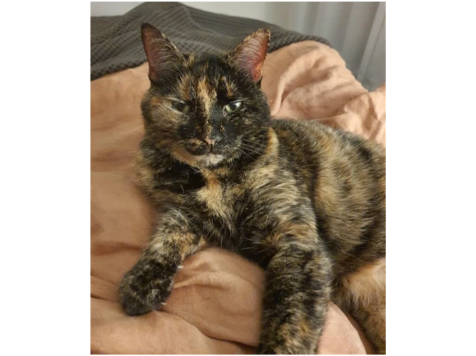 Millie