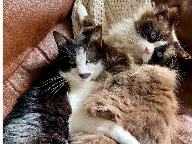 Hella and Loki