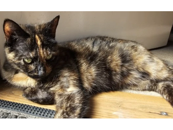 Matilda