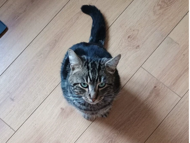 Leo