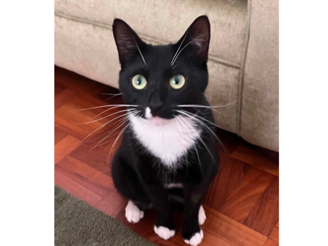 Suki