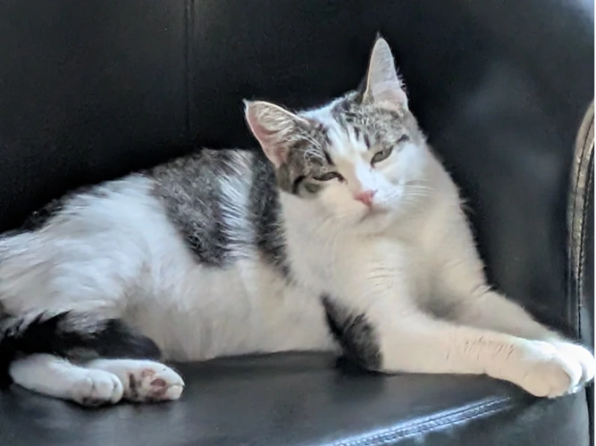 Maru