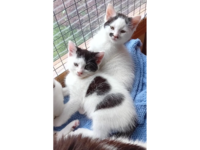 Spit & Spot