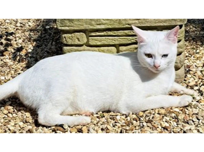 Casper