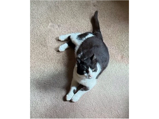 Oscar