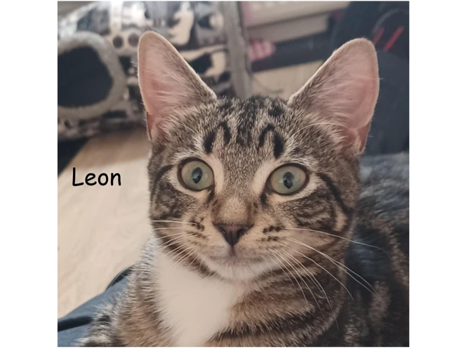 Leon and Isla