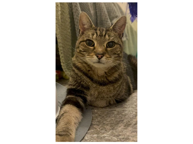 George
