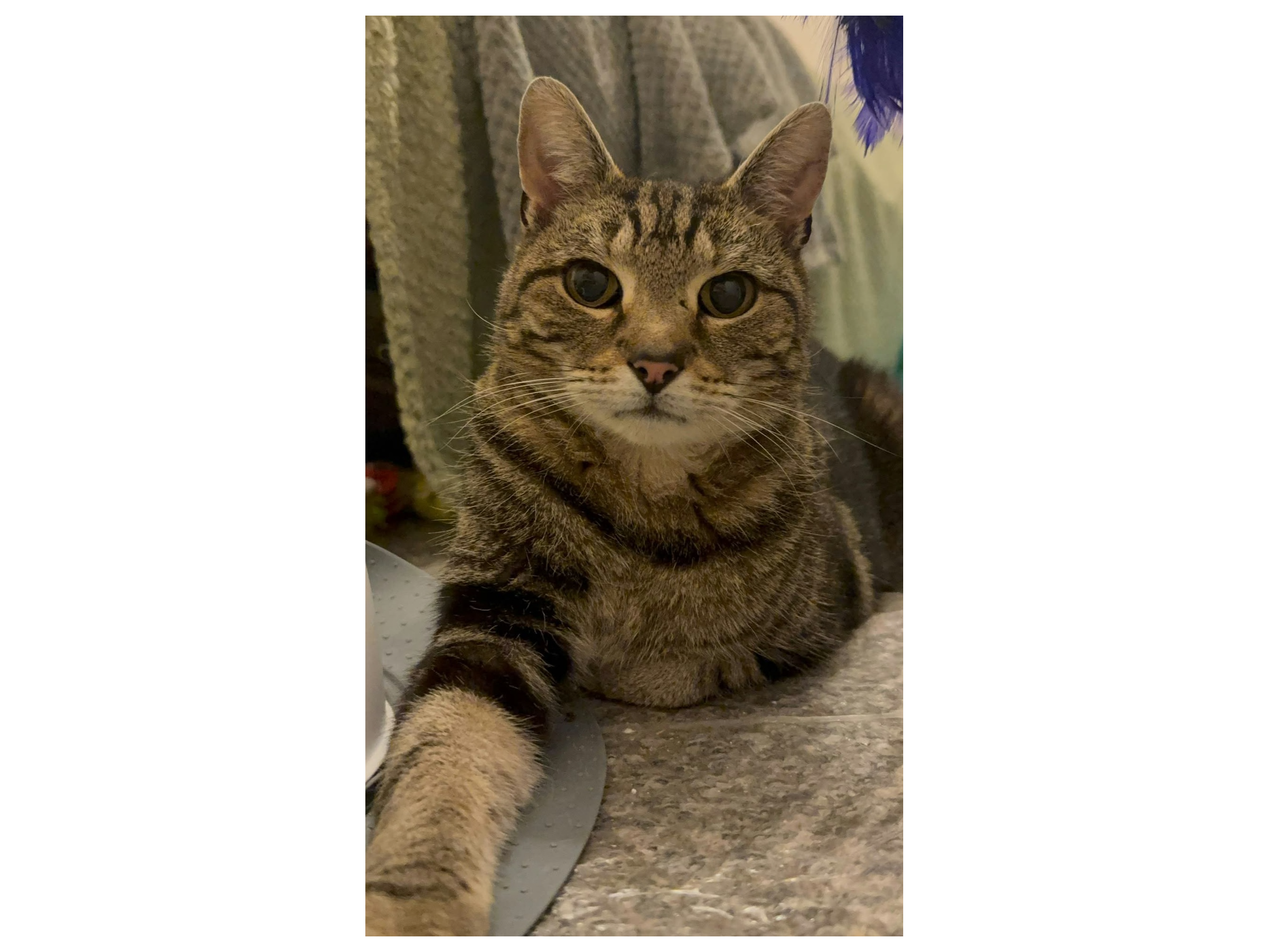 George