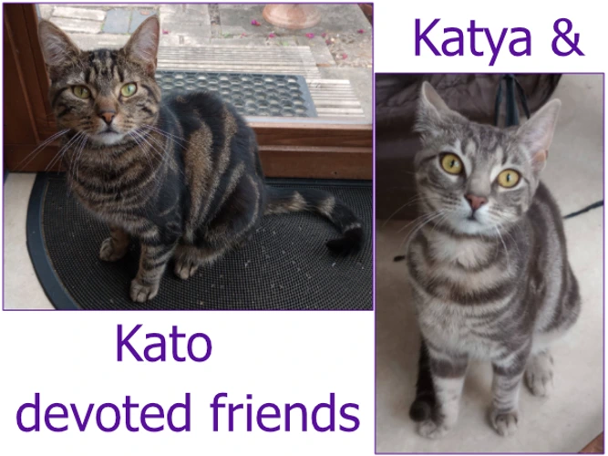 Kato & Katya