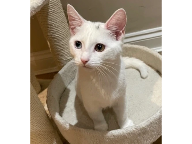 Cilla (see also Caitlin & Colin)