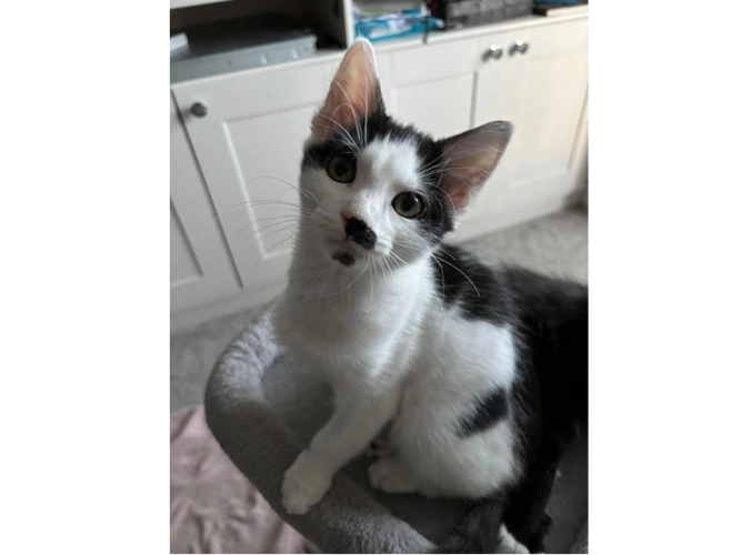 Mia