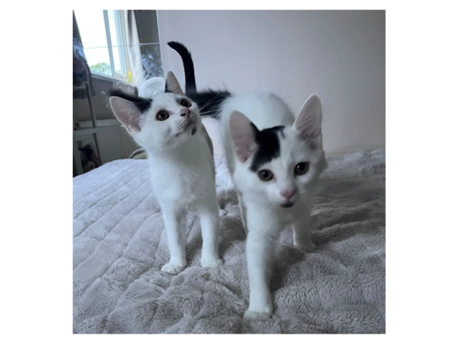 Betty and Arnie
