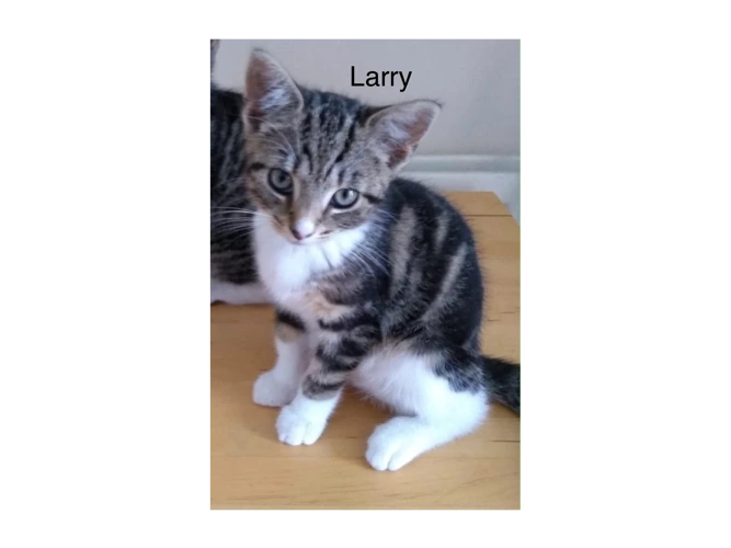 Larry