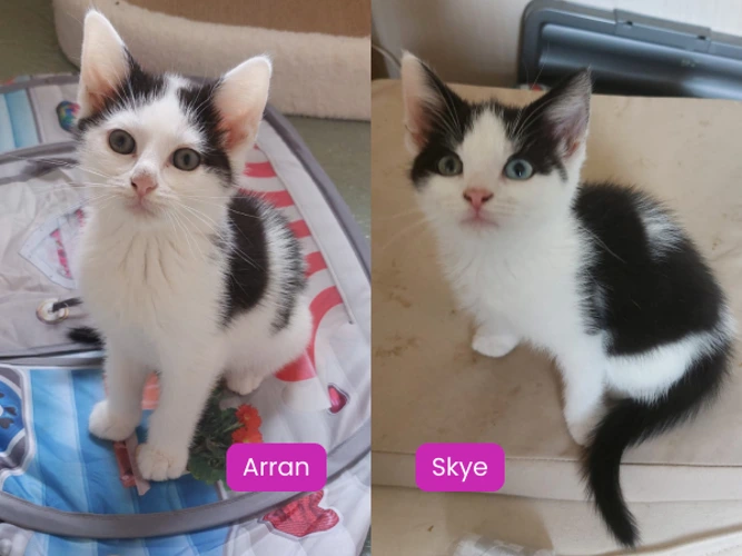 Arran and Skye