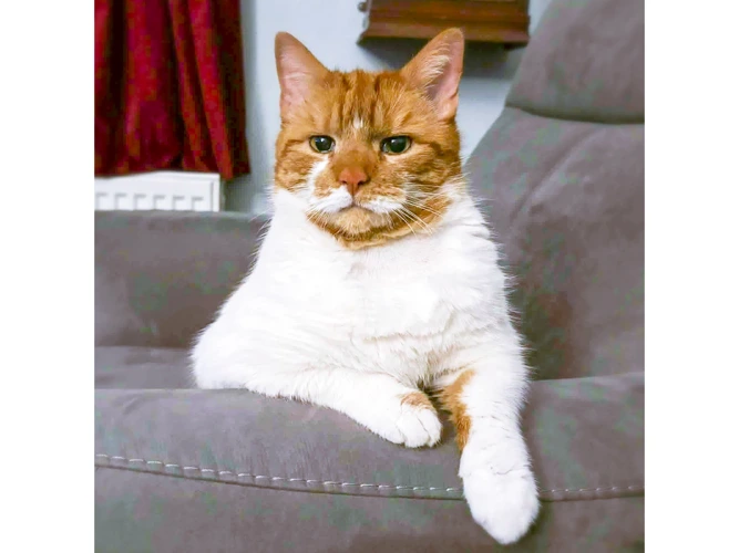 Jasper