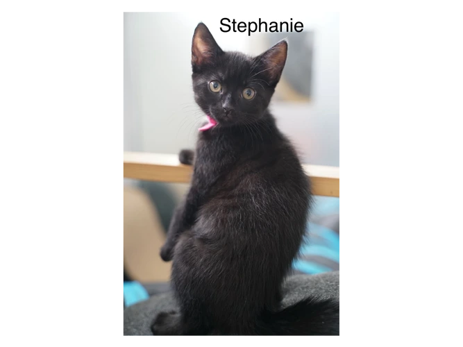 Stephanie